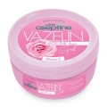 Cire Aseptine Vazelin Gül 150 ml