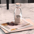 ÇOK SATAN Bardak Blender Smoothie Meyve Sıkacağı Şarjlı Cam Taşınabilir