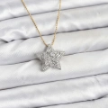 BFS 316L Çelik Zincir Gold Renk Zincirli Gümüş Yıldız Model Kadın Kolye