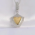 BFS 316L Çelik Zincir Gümüş Renk Zirkon Taşlı Tasarım Altın Renk Kalp Kolye