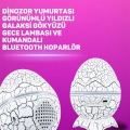 BFS Bluetooth Hoparlör Özellikli 7 Renkli Gece Aydınlatması
