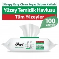 BFS    Easy Clean Yüzey Temizlik Havlusu 100 Adet