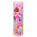BFS   JCN93 Barbie Cutie Reveal  Care Bear Serisi