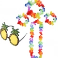 BFS   Renkli Ananas Gözlük, Taç, Kolye ve Bileklik Seti