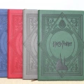 ÇOK SATAN Harry Potter Deri Defter Renkli Model 1