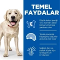 ÇOK SATAN Hills Light Büyük Irk Tavuklu Diyet Köpek Maması 14 Kg