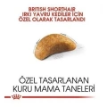 ÇOK SATAN Royal Canin British Shorthair Kitten Yavru Kedi Maması 2 Kg