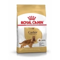 ÇOK SATAN Royal Canin Cocker Adult Yetişkin Köpek Maması 3 Kg