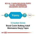 ÇOK SATAN Royal Canin French Bulldog Junior Yavru Köpek Maması 3 Kg