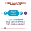 ÇOK SATAN Royal Canin Giant Junior Dev Irk Yavru Köpek Maması 15 Kg