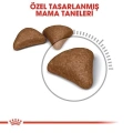 ÇOK SATAN Royal Canin Hairball Tüy Yumağı Önleyici Yetişkin Kedi Maması 2 Kg
