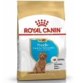 ÇOK SATAN Royal Canin Poodle Junior Yavru Köpek Maması 3 Kg