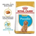 ÇOK SATAN Royal Canin Poodle Junior Yavru Köpek Maması 3 Kg
