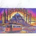 ÇOK SATAN Silikon İstanbul Temalı Magnet Alk4349