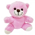 Pembe Peluş Oyuncak Ayıcık