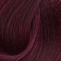 Premium 4.20 Koyu Viyole - Kalıcı Krem Saç Boyası 50 g Tüp