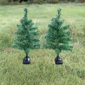 Solar Dekoratif Çam Ağacı