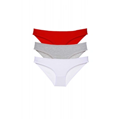3 adet Süper Eko Set Likralı Kadın Slip Külot 542