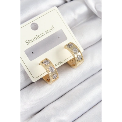 Bfs 316L Çelik Zirkon Taşlı Halka Model Gold Ve Gümüş Renk Kadın Küpe