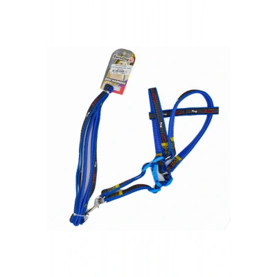 Euro Dog Köpek Uzatma Tasması ve Göğüs Tasması Takımı Mavi 20 Mm 120 Cm