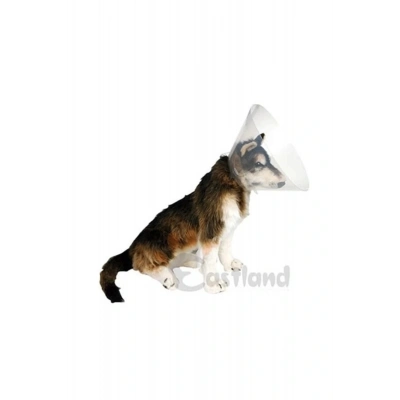 Eastland Köpek Kedi Ve Köpek Elizabeth Yakalığı 20 Cm