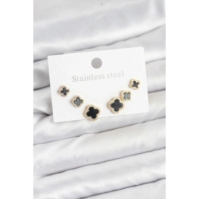 BFS 316L Çelik Zirkon Taşlı Yonca Model Kadın Küpe Seti