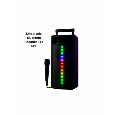 BFS PG4266 Kablosuz Hoparlör