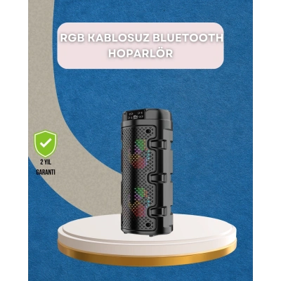 BFS USB, SD Kart ve AUX Girişli Taşınabilir Hoparlör