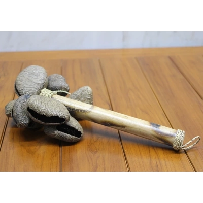 Coconat Sarkaçli Marakas Dıarta:2