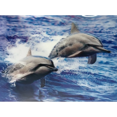 ÇOK SATAN 3 Boyutlu Resim  Sevimli Yunuslar İkili Yunus Resmi Tablosu 30x40 cm