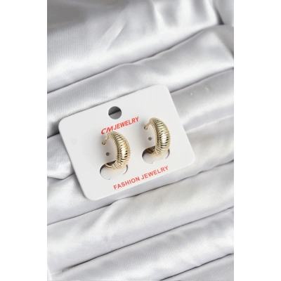 BFS 14K Gold Renk Kaplama CM Kadın Küpe