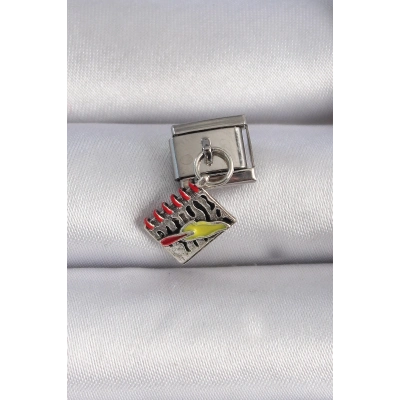 BFS 316L Çelik Gümüş Renk Sallantı Defter Figür Nomination Charm