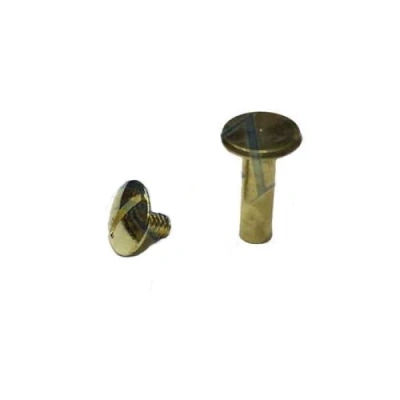 ÇOK SATAN Cilt Menü, Katalog, Kartela Vidası, 13mm - Sarı, 100 Adet (336336)