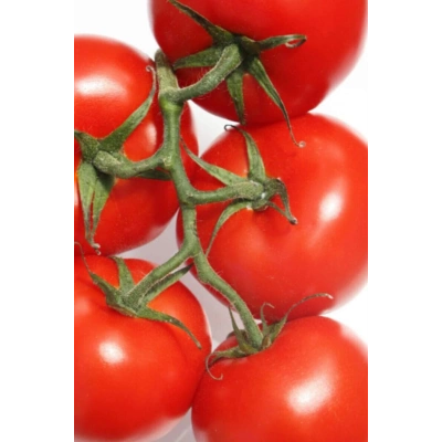 Domates Tohumu Falcon 5 Gr