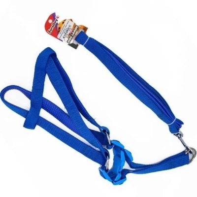 Euro Dog Köpek Uzatma Tasması ve Göğüs Tasması Takımı Mavi 15 Mm 120 Cm