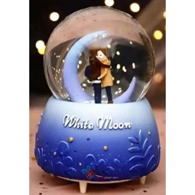 Kar Küresi Orta Boy Wy20k08