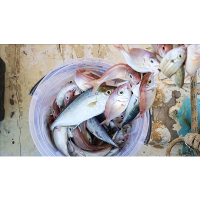 Misina İpi 300 Metre