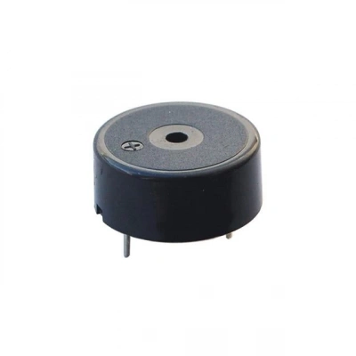 Powermaster Ic-220 Buzzer 12 - 24 Volt Dc 23 Mm Devreli