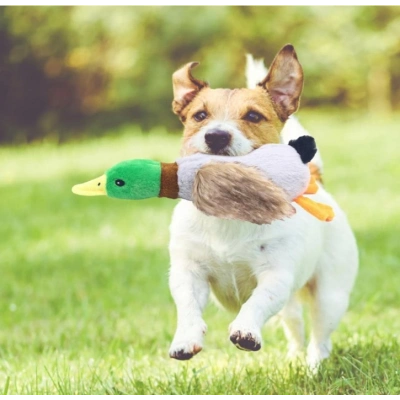 Sesli Ördek Şekilli Peluş Köpek Oyuncağı