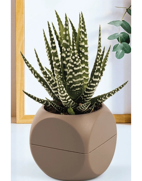 1 No Küp Saksı Royaleks-KRS-401