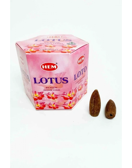 10 Adet Geri Akış Backflow Şelale Tütsü Konisi Tütsü Back Lotus Vanilla