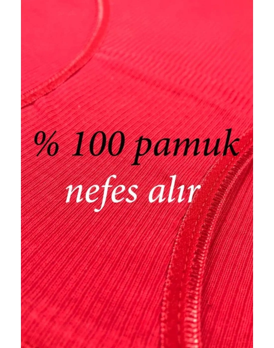 12 Adet Fitilli Pamuklu Kadın Kaşkorse Bikini Külot