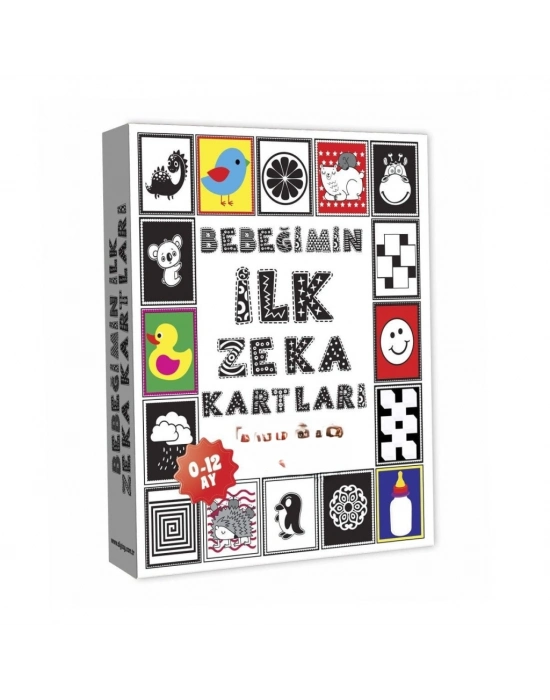 1369 BEBEĞİMİN İLK ZEKA KARTLARI