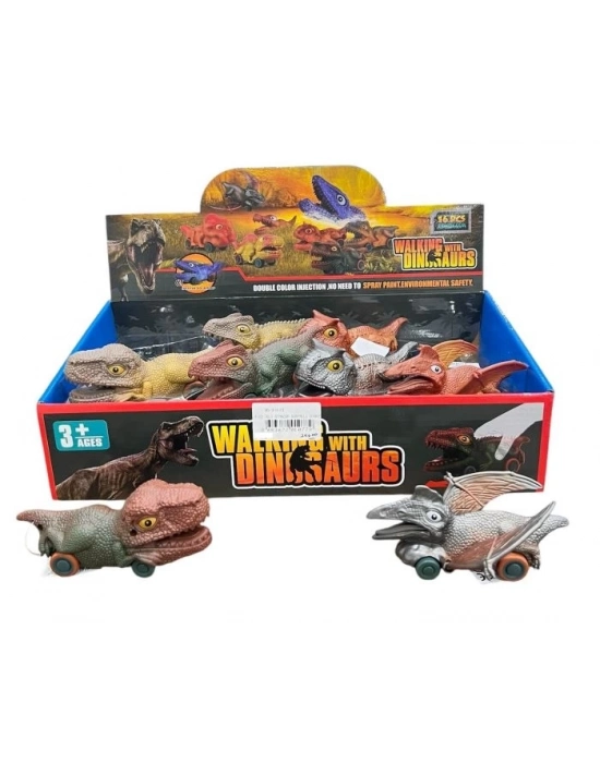 16 LI STANDDA SURTMELI DINAZOR