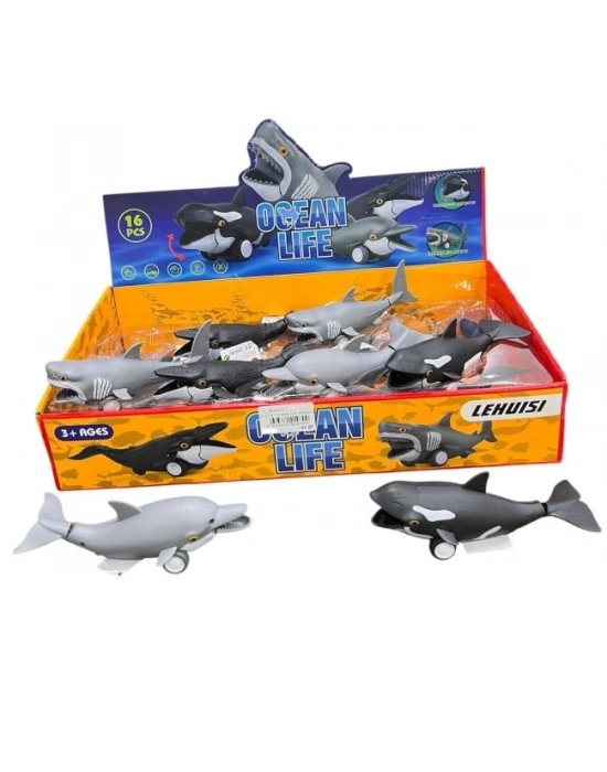 16 LI STANDDA SURT.OKYANUS HAYVANLARI