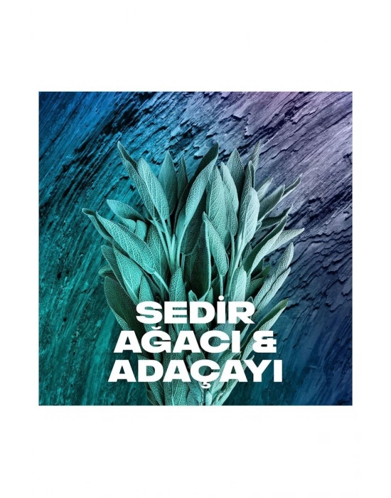 2 Adet Axe Erkek Sprey Deodorant Apollo 48 Saat Etkileyici Koku Vücut Spreyi 150 ml