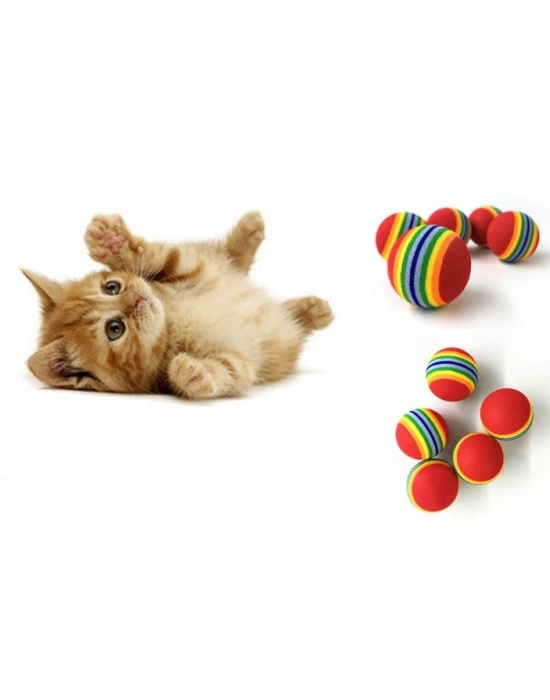 2 ADET GÖKKUŞAĞI RENKLI KEDI KÖPEK OYUN TOPU