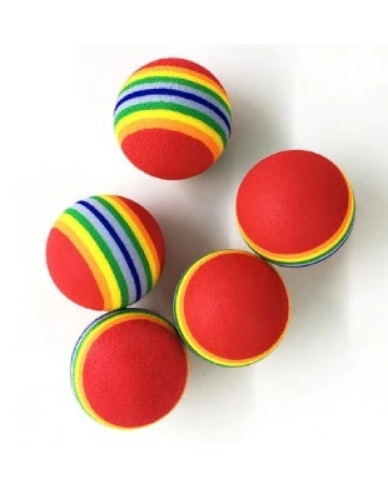 2 ADET GÖKKUŞAĞI RENKLI KEDI KÖPEK OYUN TOPU