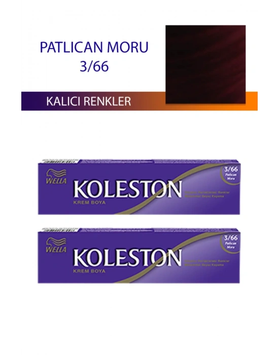 2 Adet Single Tüp Boya Saç Boyası Patlıcan Moru 3/66