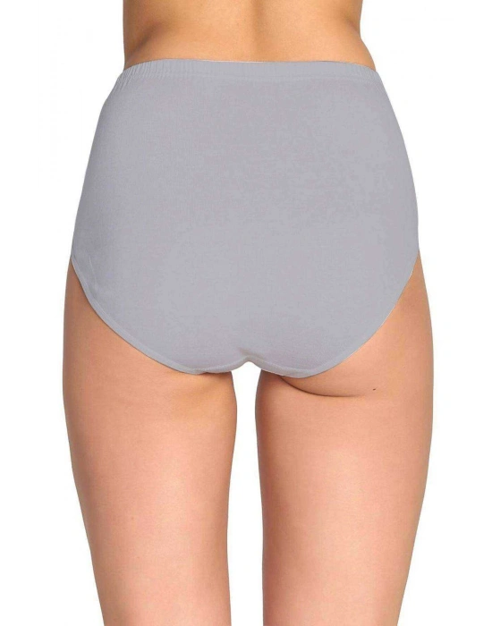 2 Adet Tutku Kadın Yüksek Bel Bato Kalın Lastik Külot S10